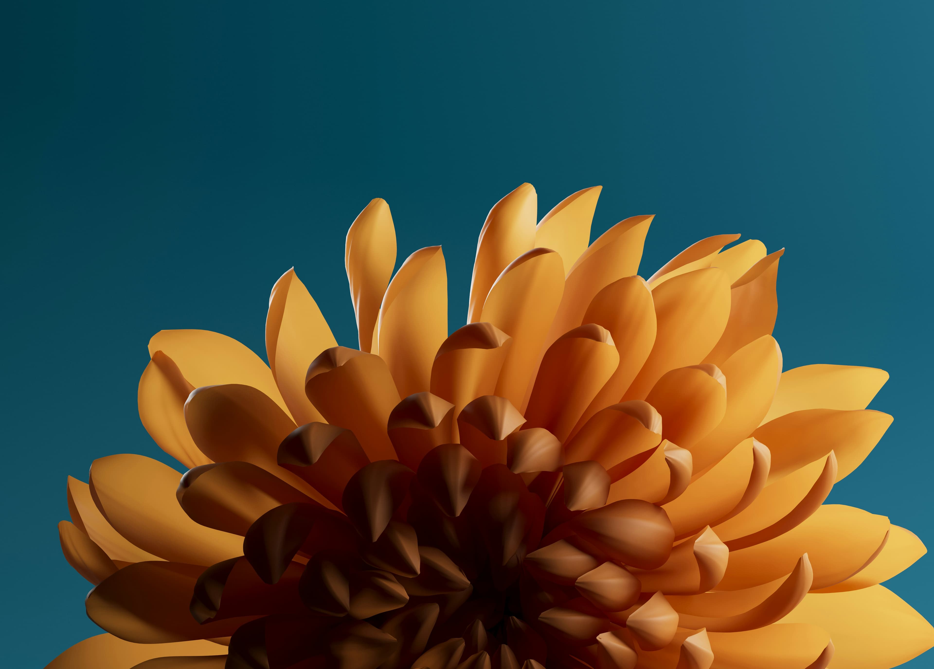Florals phone case design
