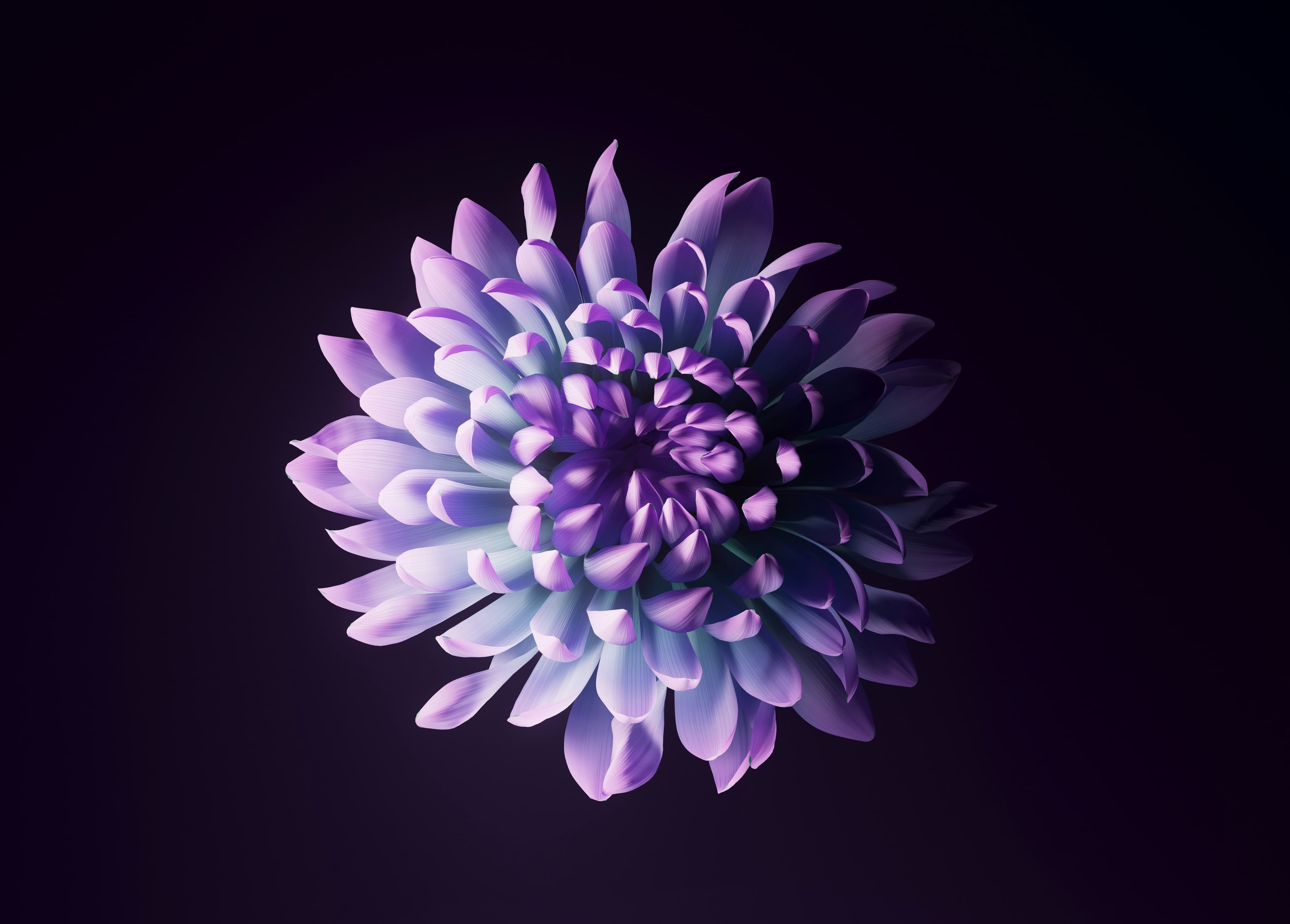Florals phone case design