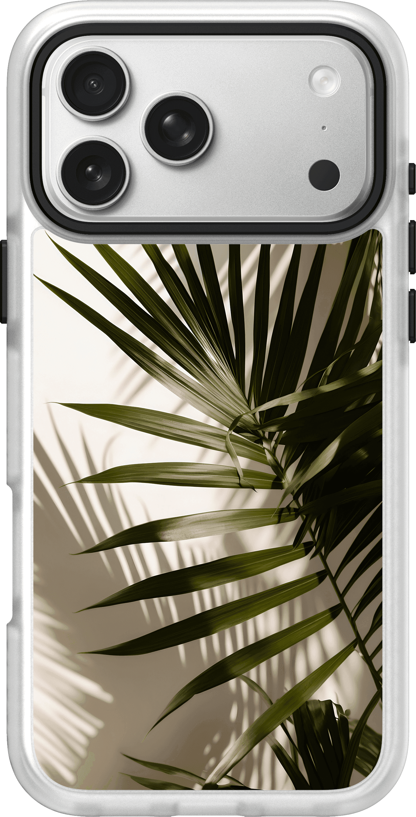 Leaves & Tropical